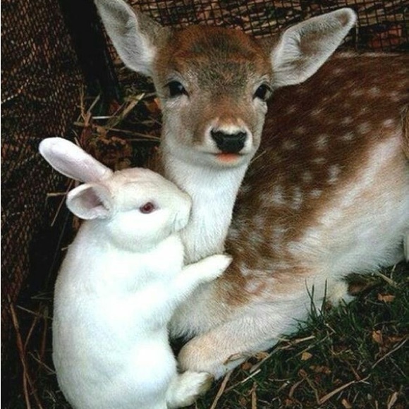 meet gabi - Picture 1 of 1